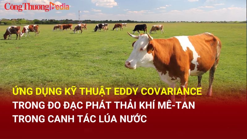 Ứng dụng kỹ thuật Eddy Covariance trong đo đạc phát thải khí metan