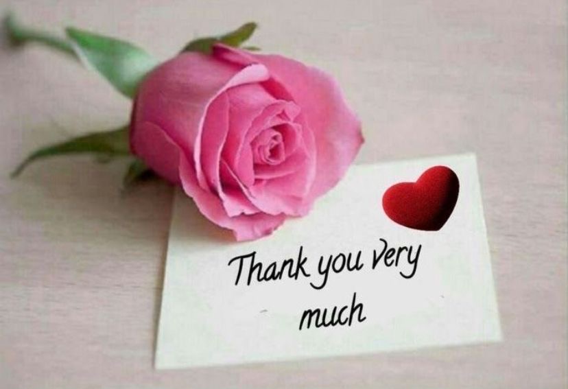 Gợi ý 7 loài hoa ý nghĩa tặng thầy cô ngày Nhà giáo Việt Nam 20/11