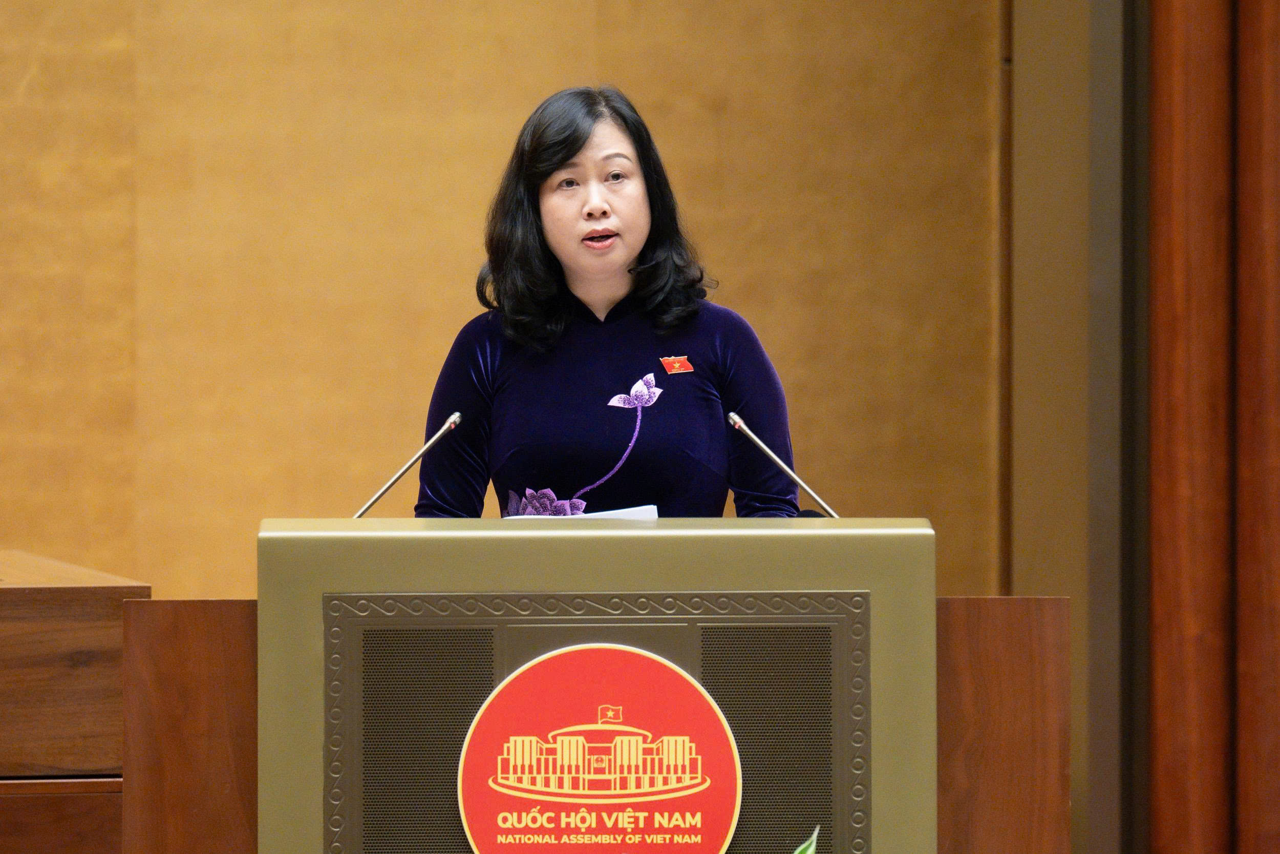 Nghiên cứu hỗ trợ tài chính đối với phụ nữ sinh đủ 2 con 