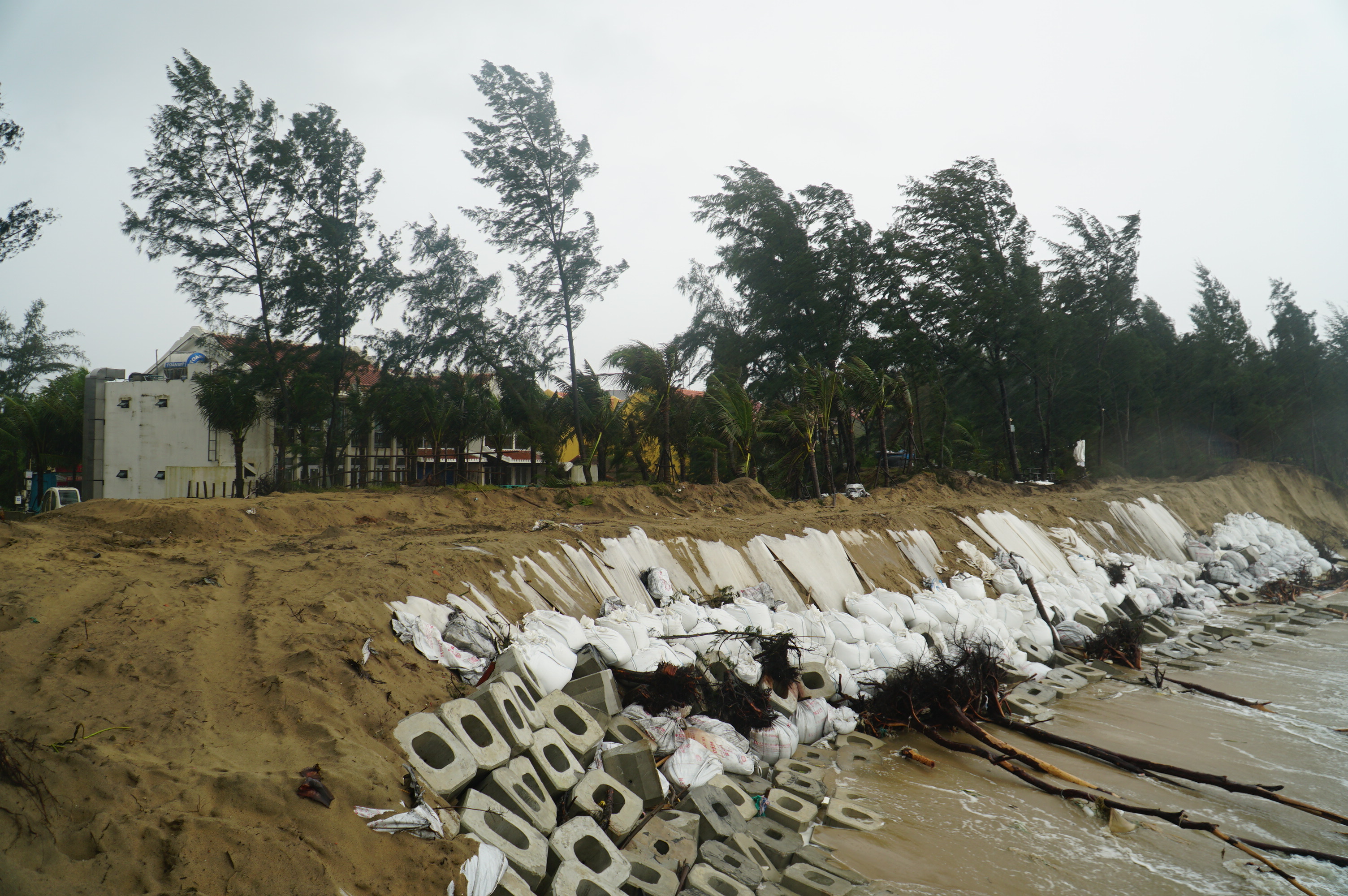 Chùm ảnh: Cận cảnh sạt lở bờ biển Hội An do mưa lớn