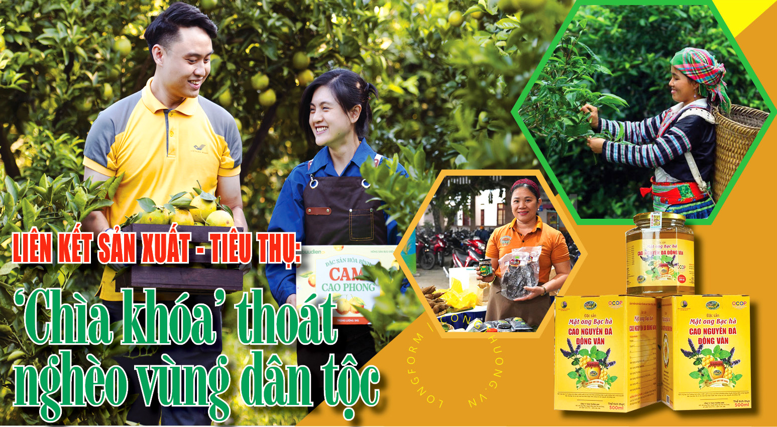 Liên kết sản xuất - tiêu thụ: ‘Chìa khóa’ thoát nghèo vùng dân tộc