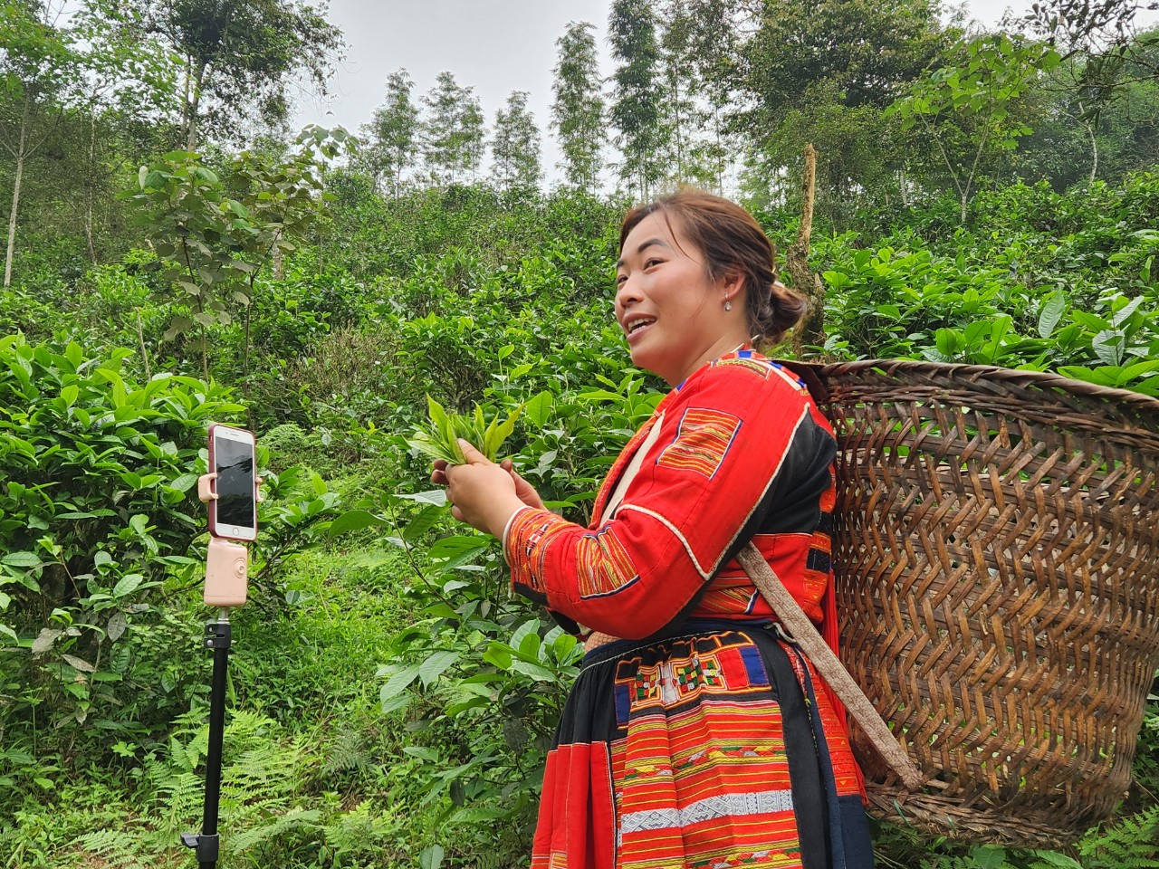 Dự án Luật Thương mại điện tử: Thúc đẩy phát triển kinh tế số, kích cầu tiêu dùng