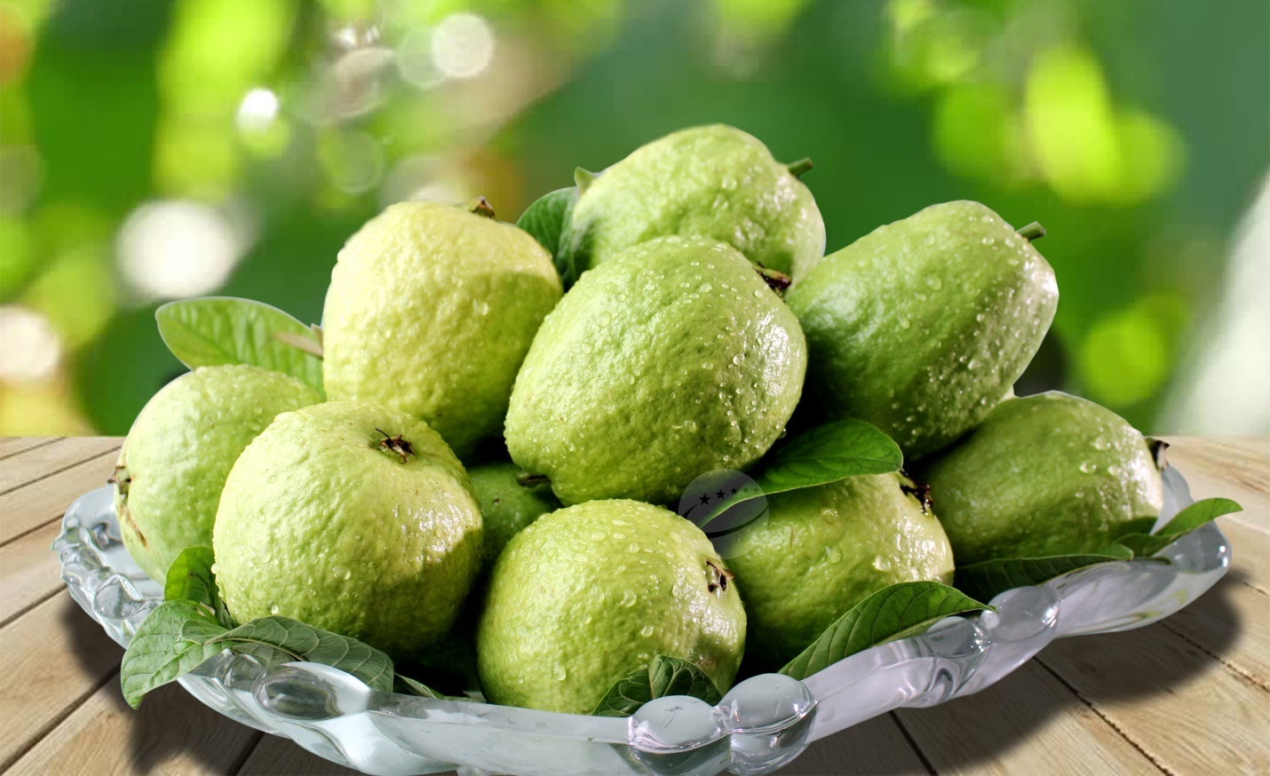 Hợp tác xã Việt Hưng 'mở đường' cho sản phẩm miền núi vươn xa
