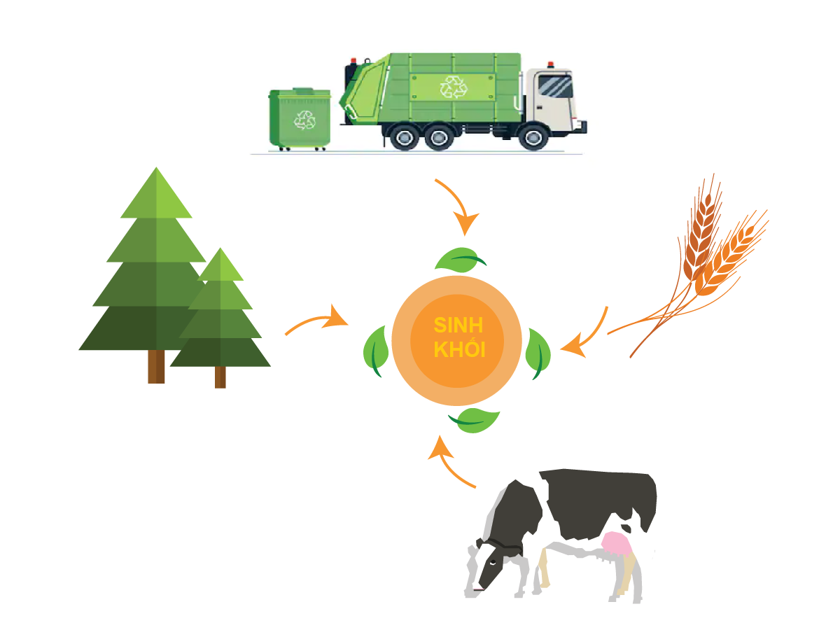 Điện sinh khối – động lực mới trên hành trình xanh của Việt Nam