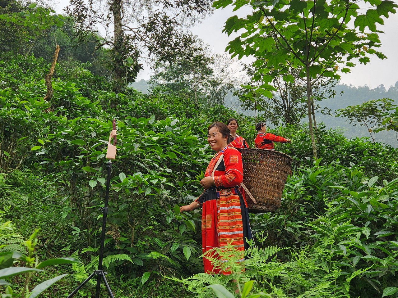 Triển khai đề án chuyển đổi số thúc đẩy thương mại điện tử bền vững