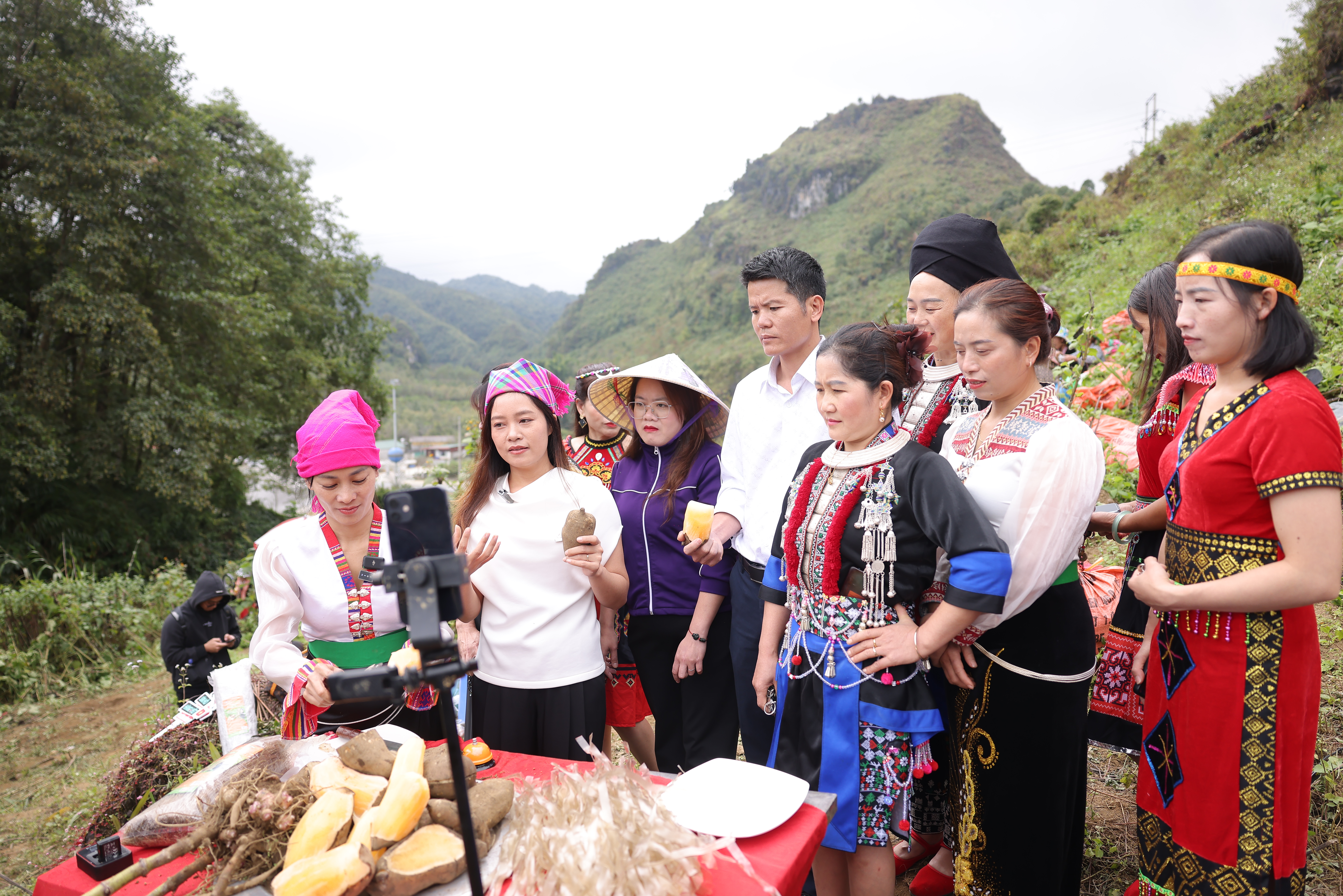 Sìn Hồ vươn mình từ khoai sâm đất và cái bắt tay của '3 nhà'