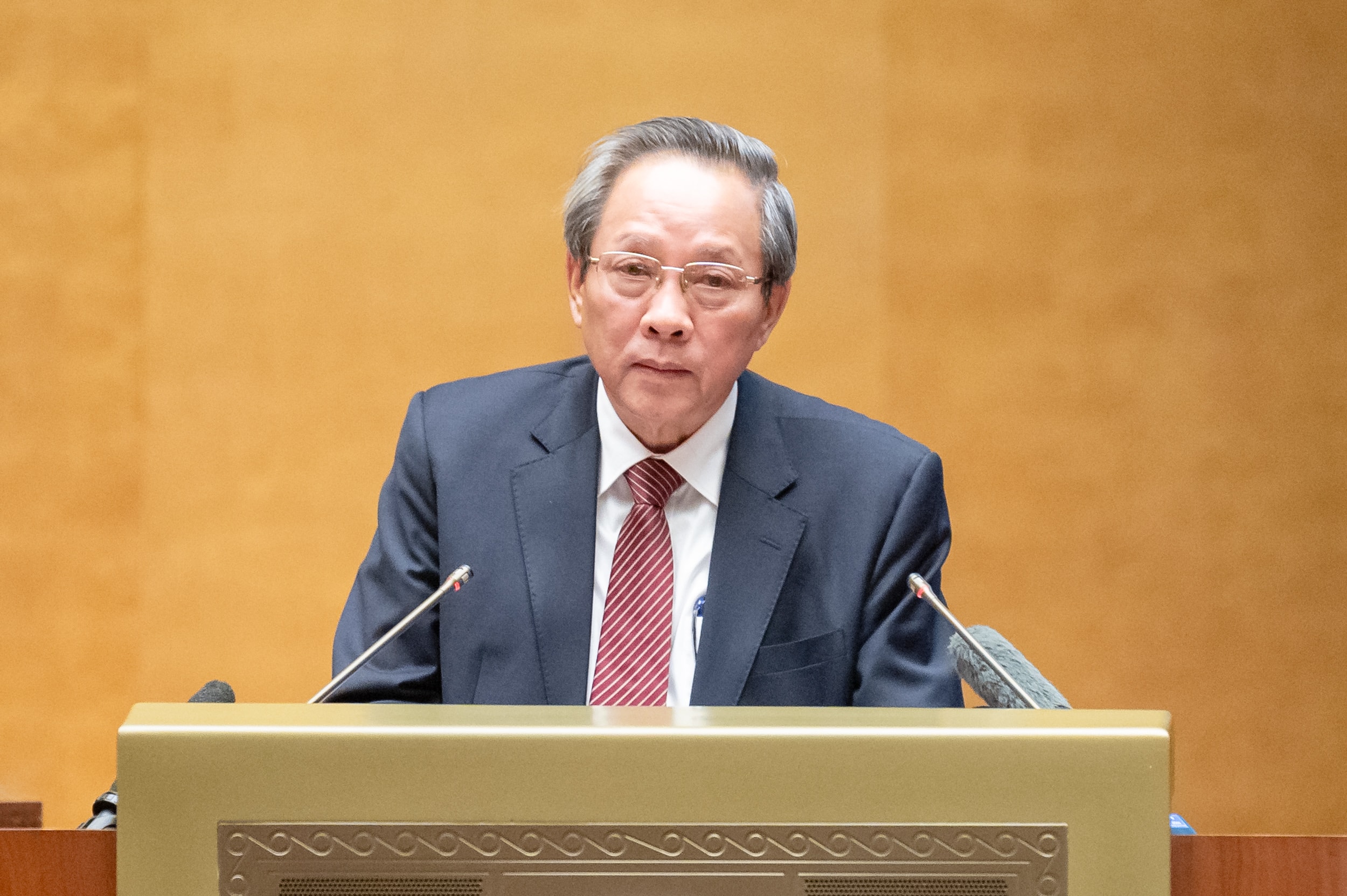 Bảo đảm cơ cấu hợp lý, tăng số lượng đại biểu chuyên trách