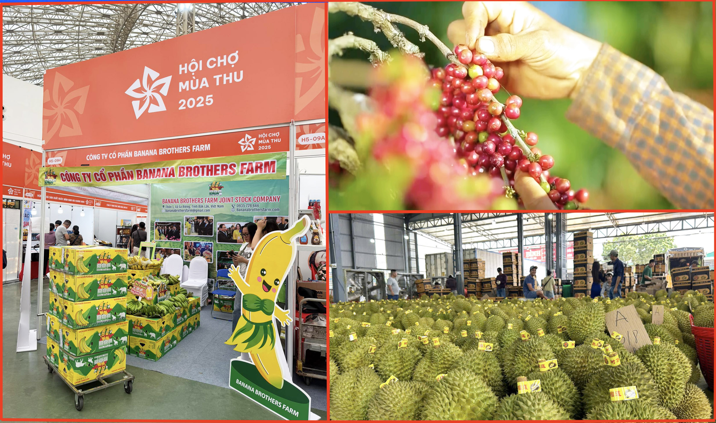 Truy xuất nguồn gốc đưa nông sản Đắk Lắk vươn ra thế giới - Bài 3: Sự chung tay của Trung ương và địa phương