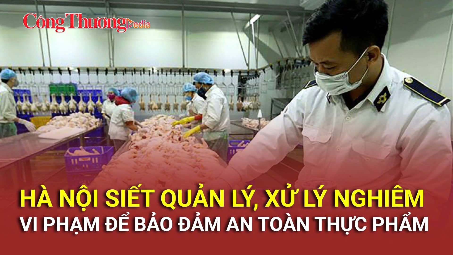 Hà Nội siết quản lý xử lý nghiêm vi phạm để bảo đảm an toàn thực phẩm