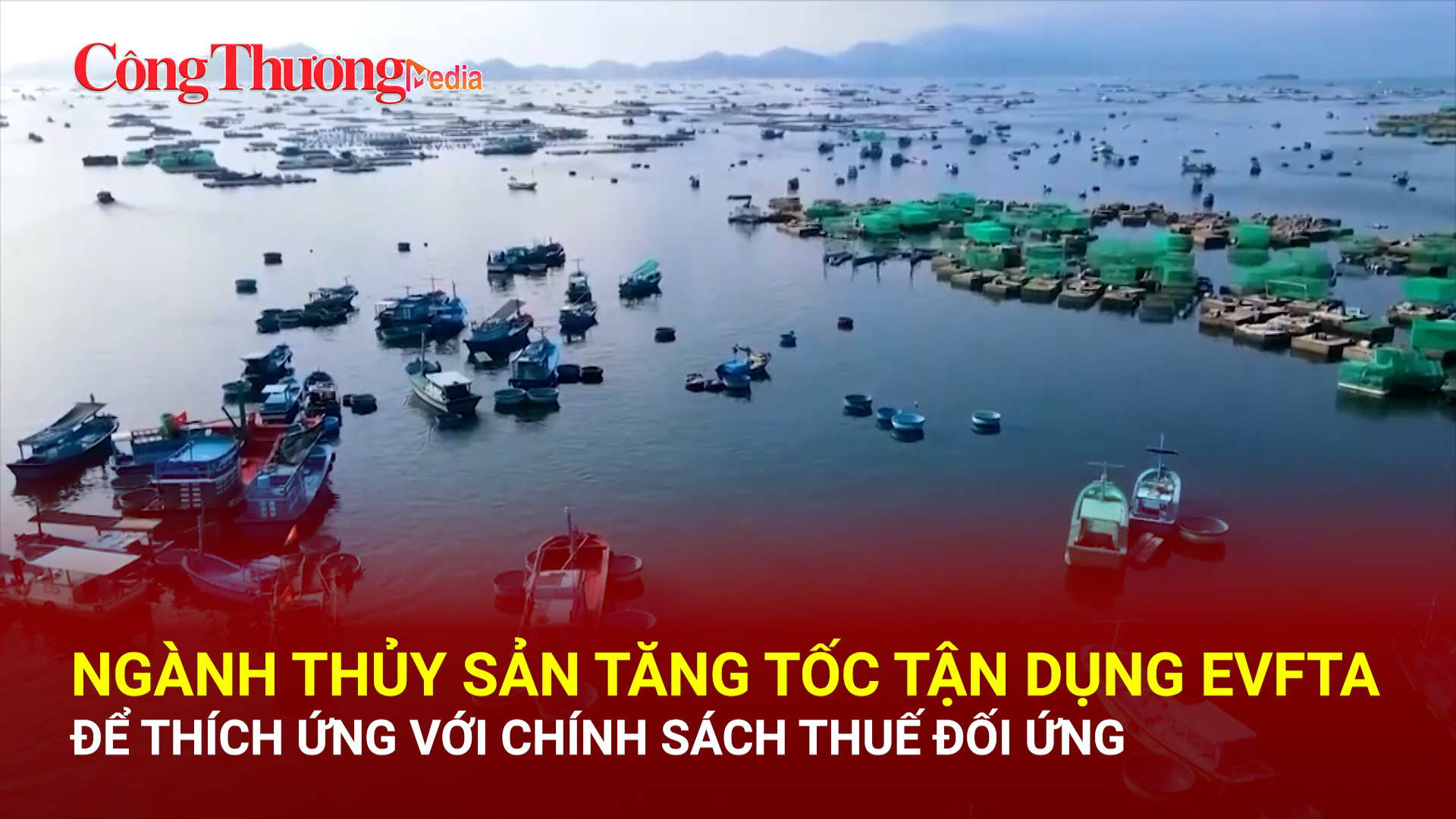 Ngành thủy sản tăng tốc tận dụng EVFTA để thích ứng với chính sách thuế đối ứng
