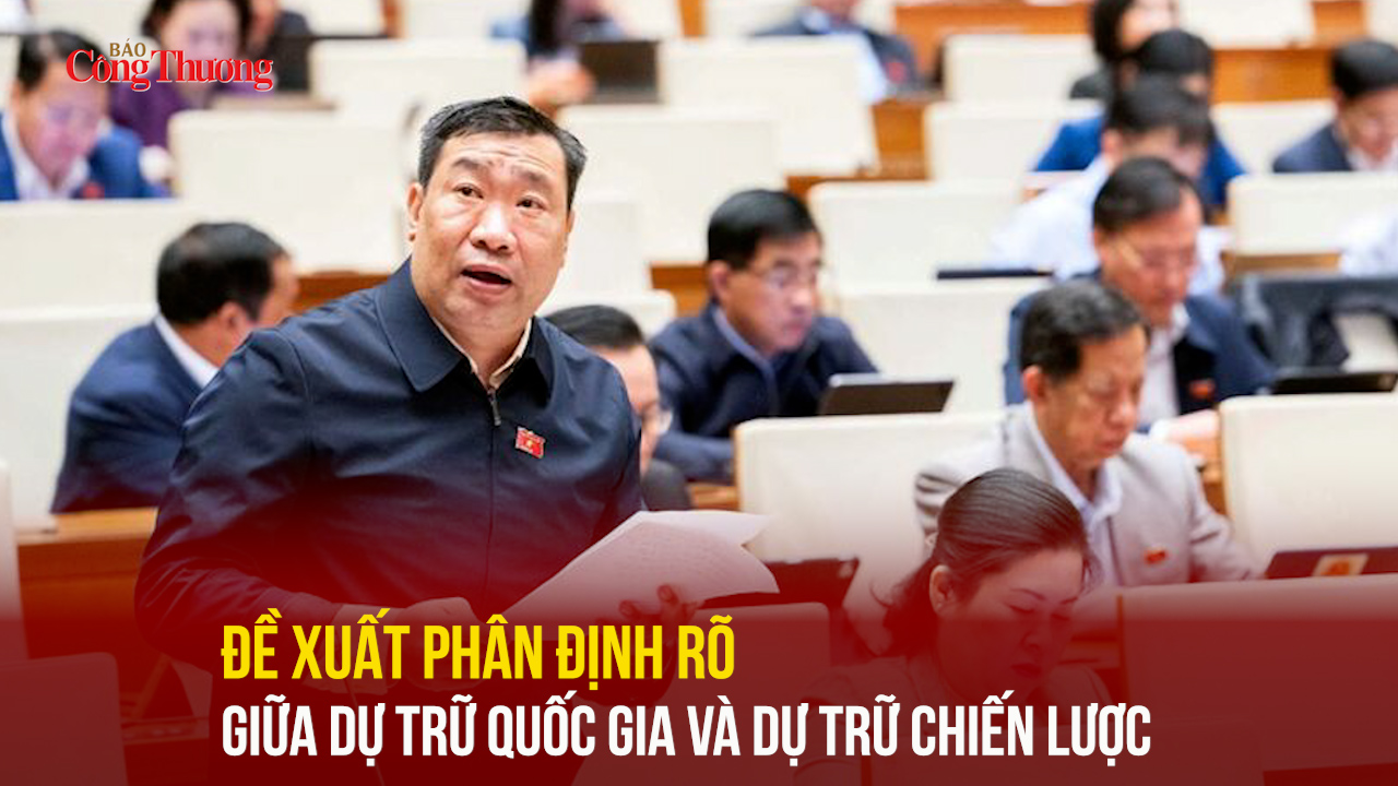 Đề xuất phân định rõ giữa dự trữ quốc gia và dự trữ chiến lược