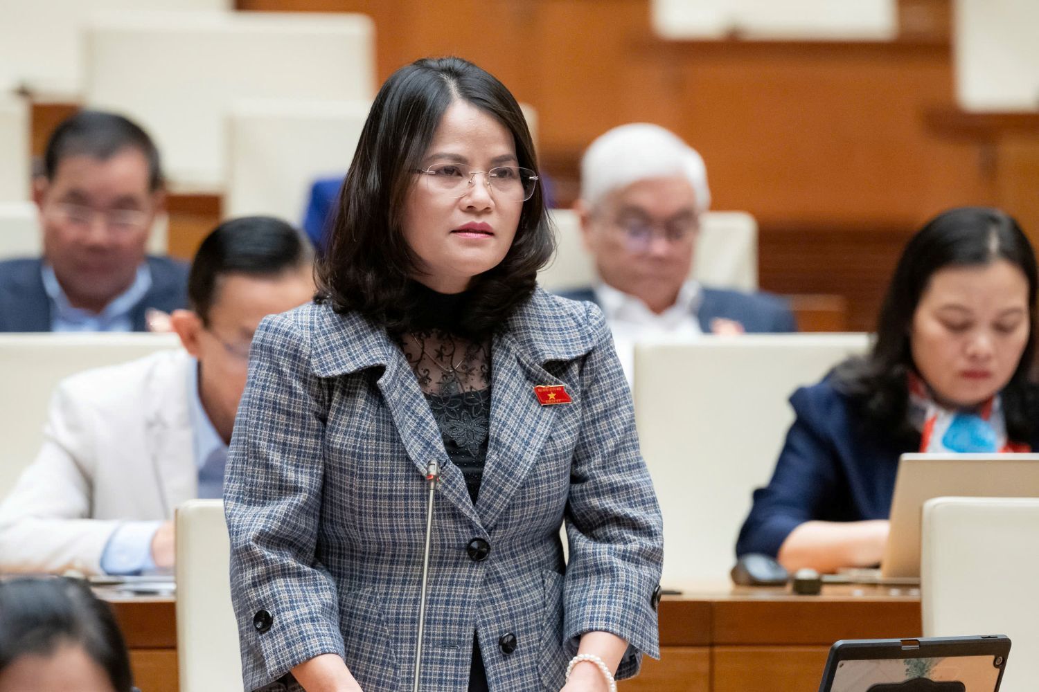 Đại biểu Quốc hội đề nghị hợp nhất Quy hoạch tỉnh và đô thị nông thôn