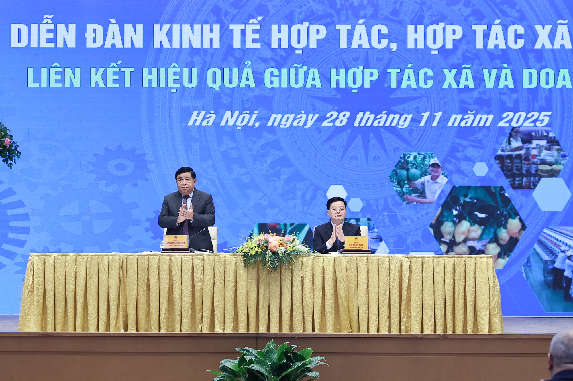 Liên kết hợp tác xã – doanh nghiệp còn hạn chế, chưa tương xứng tiềm năng