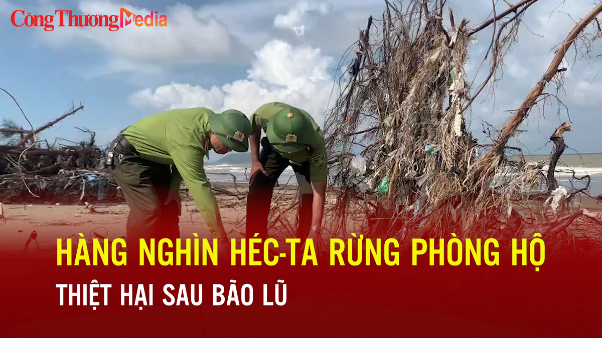Hàng nghìn héc-ta rừng phòng hộ thiệt hại sau bão lũ