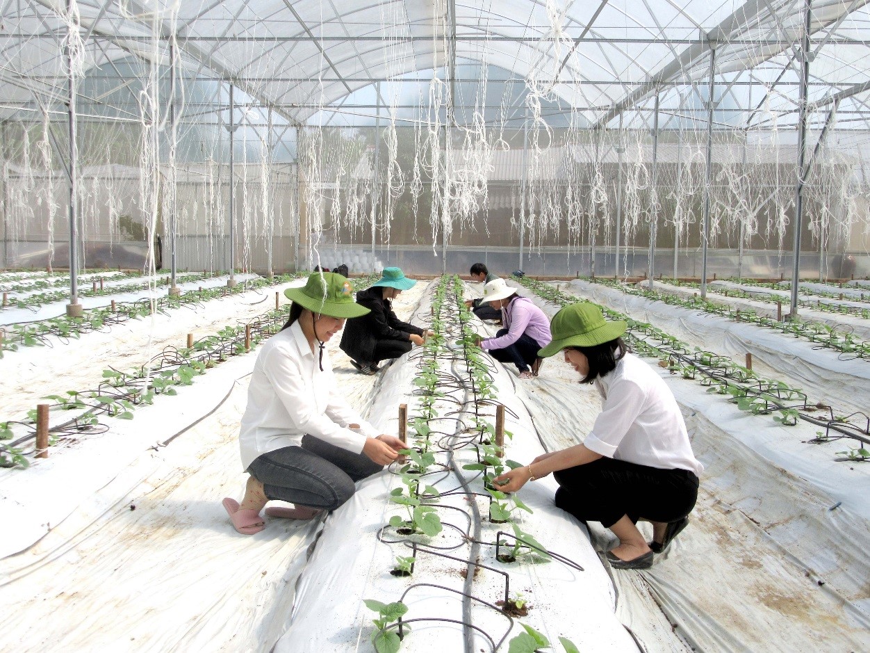 Giáo dục ưu tiên đào tạo các ngành đang 'khát' nhân lực chất lượng cao