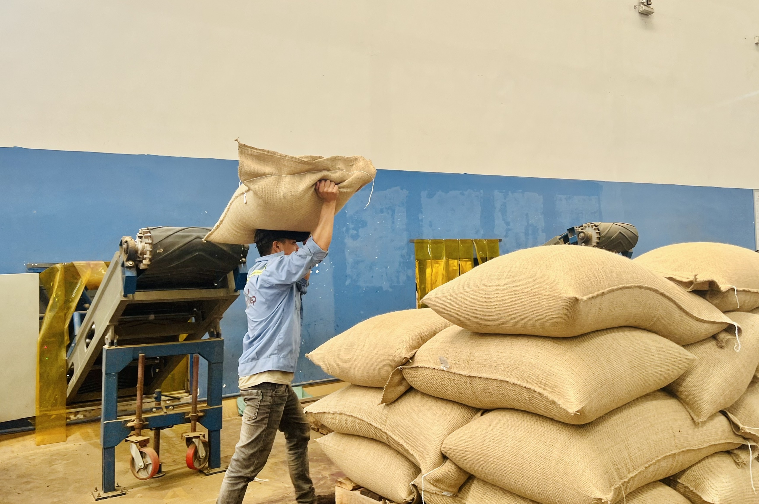 Gia Lai vượt mốc 3,2 tỷ USD, bứt phá toàn diện