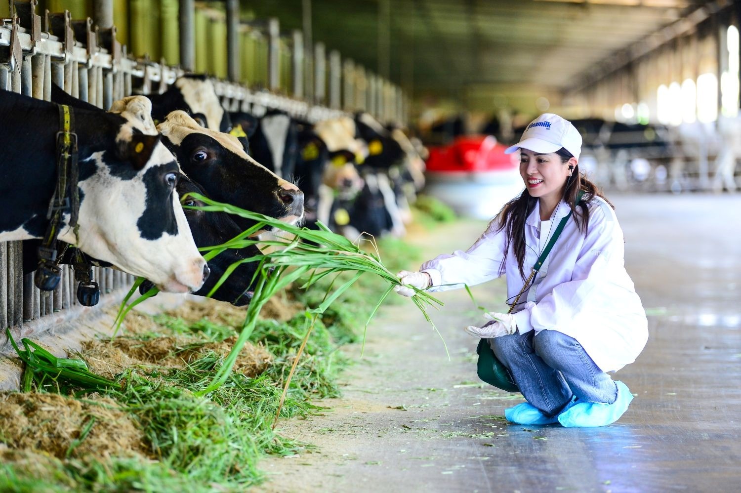 Tây Ninh: Giảm mạnh phát thải khí mê-tan, mở đường cho nông nghiệp xanh