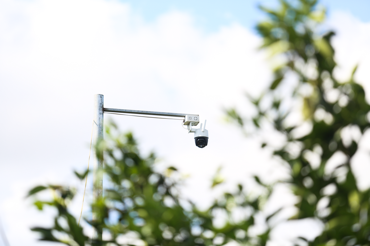 Nông dân Hà Tĩnh an tâm thu hoạch cam nhờ camera giám sát