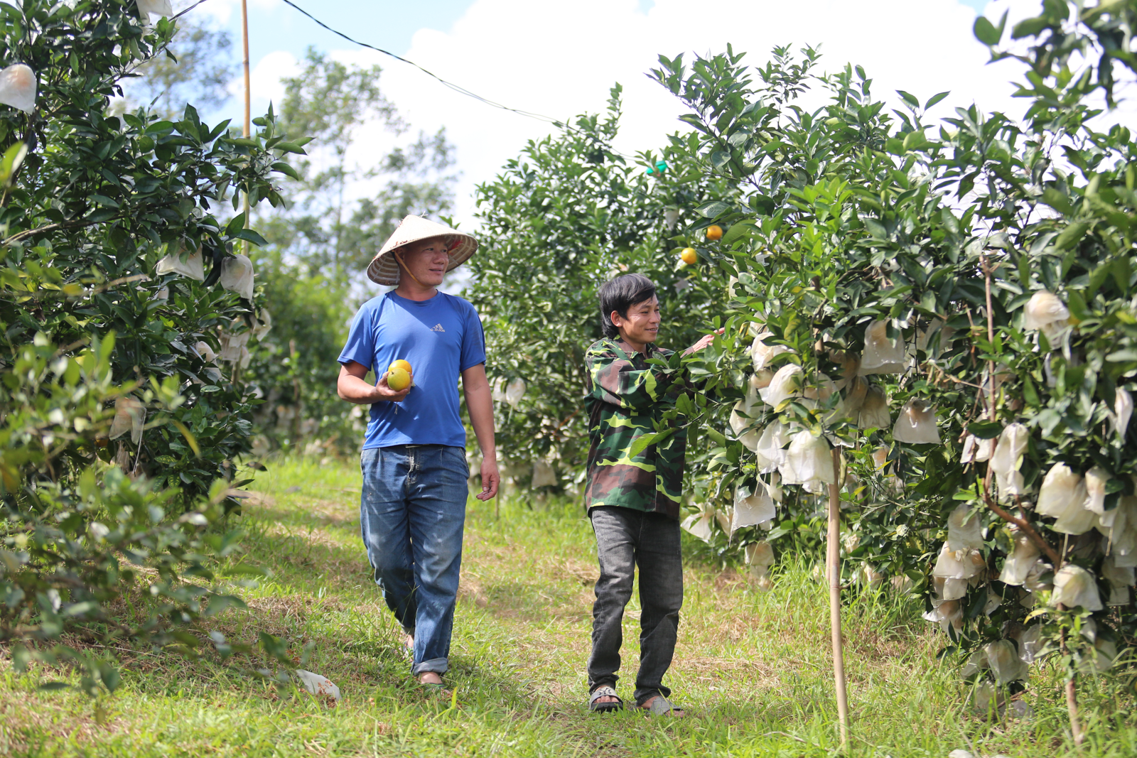 Đặc sản Hà Tĩnh và cơ hội 'gõ cửa' thị trường số - Bài 1: Tinh hoa gắn liền thương hiệu