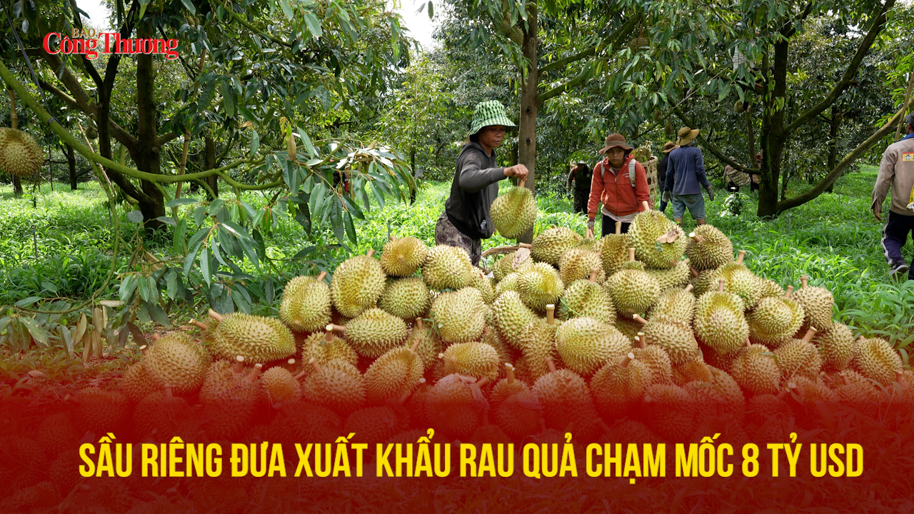 Sầu riêng đưa xuất khẩu rau quả chạm mốc 8 tỷ USD