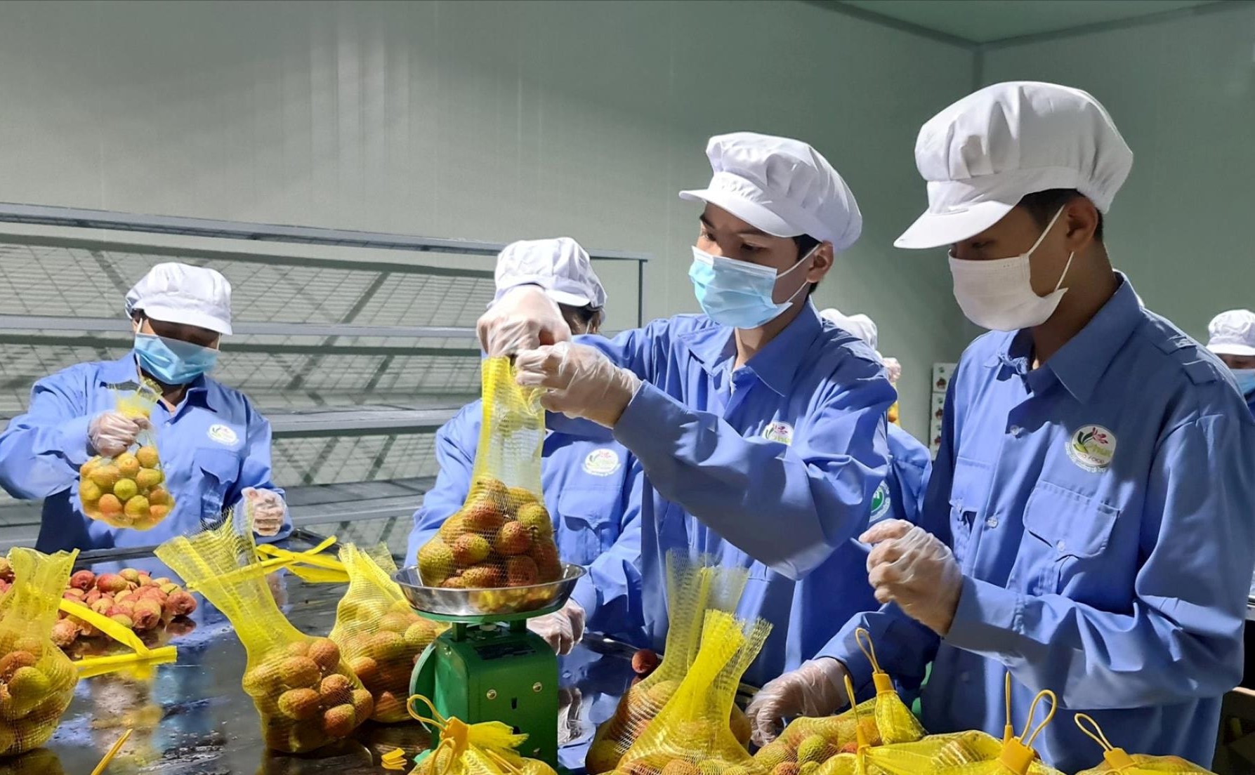 UKVFTA thúc đẩy minh bạch thủ tục, giảm chi phí, tạo đà tăng trưởng thương mại