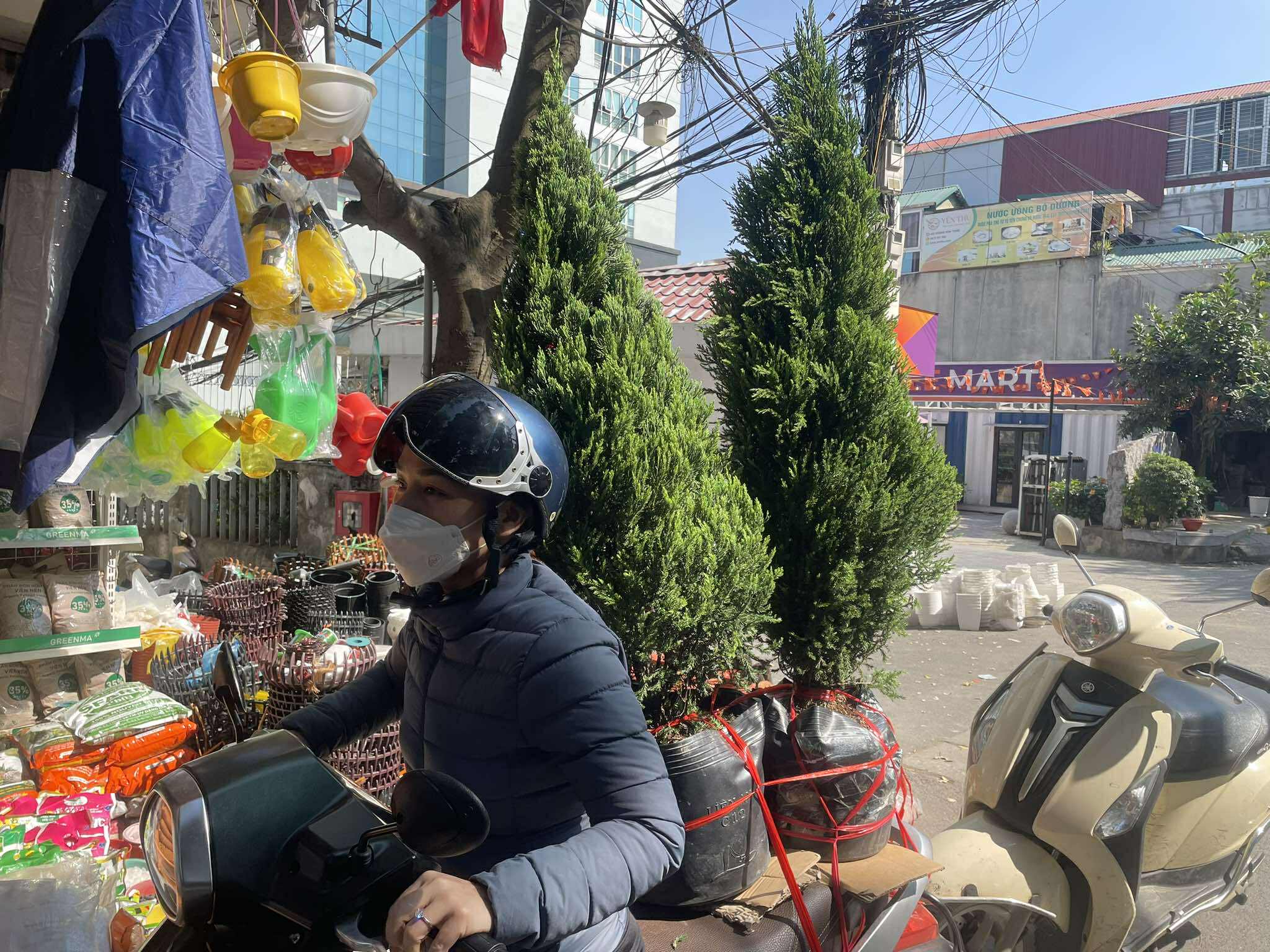 Sôi động thị trường Giáng sinh 2025: Cây cảnh, quà tặng hút khách