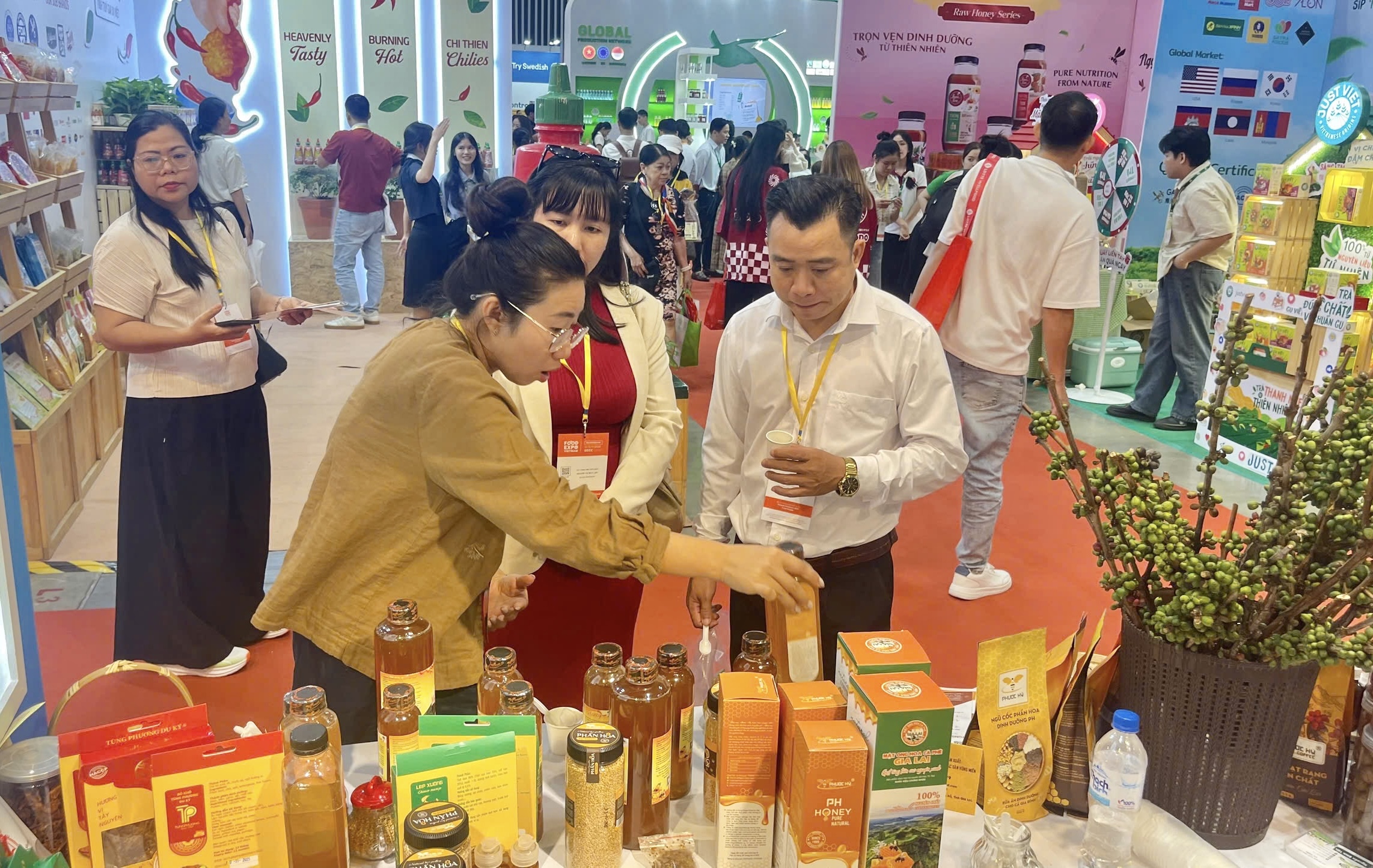 Xúc tiến thương mại mở lối cho nông sản Gia Lai vươn xa