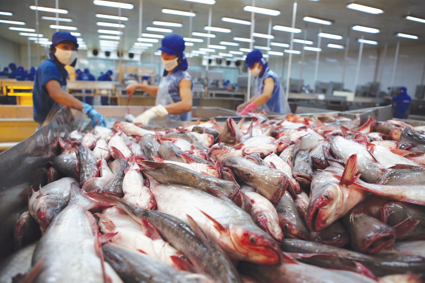Phòng vệ thương mại: Giữ thế chủ động cho doanh nghiệp xuất khẩu