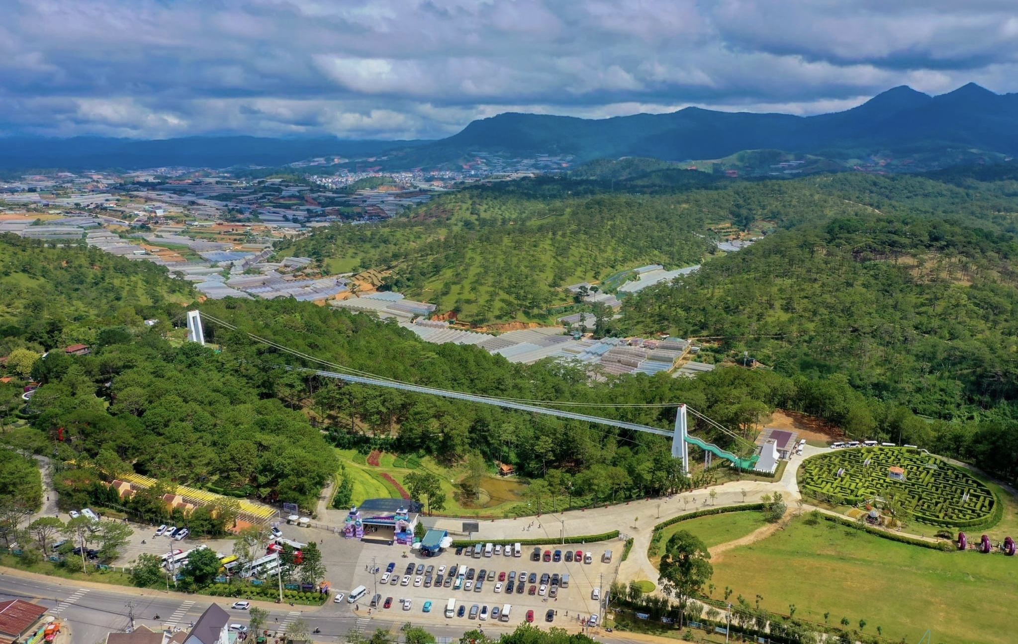 Lâm Đồng công bố số điện thoại đường dây nóng về bảo vệ rừng