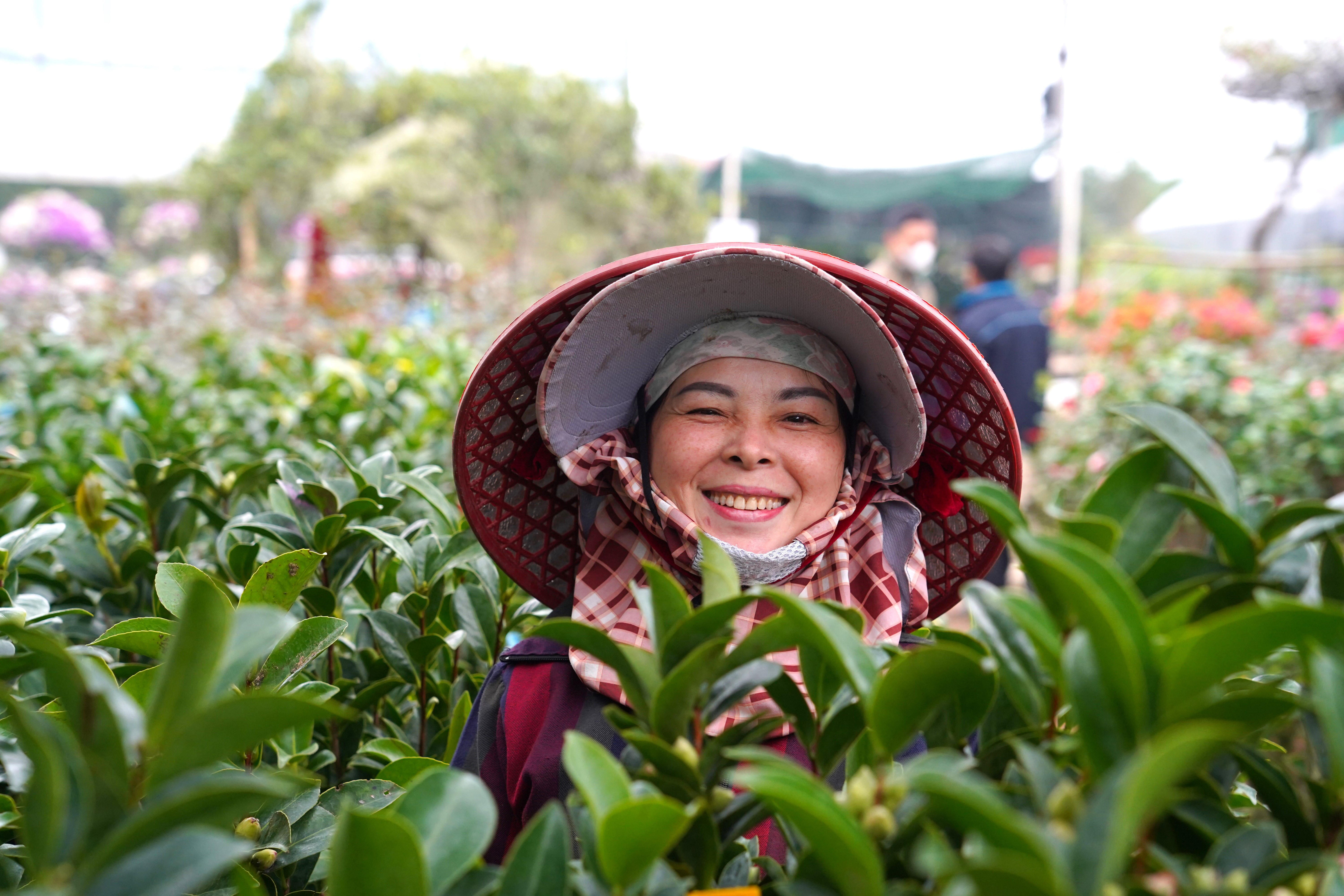 Nghệ An: Làng nghề hoa - cây cảnh rộn ràng vào vụ Tết 