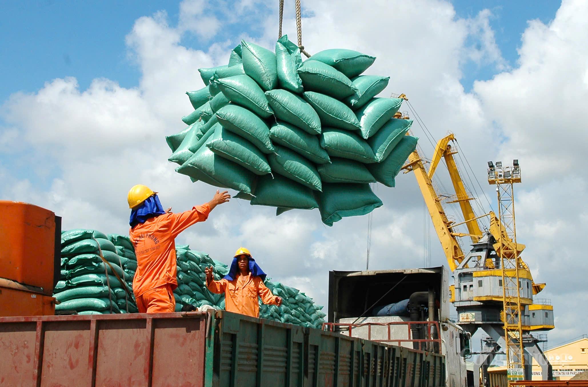 Điều hành xuất khẩu gạo năm 2026: Linh hoạt để giữ thị trường