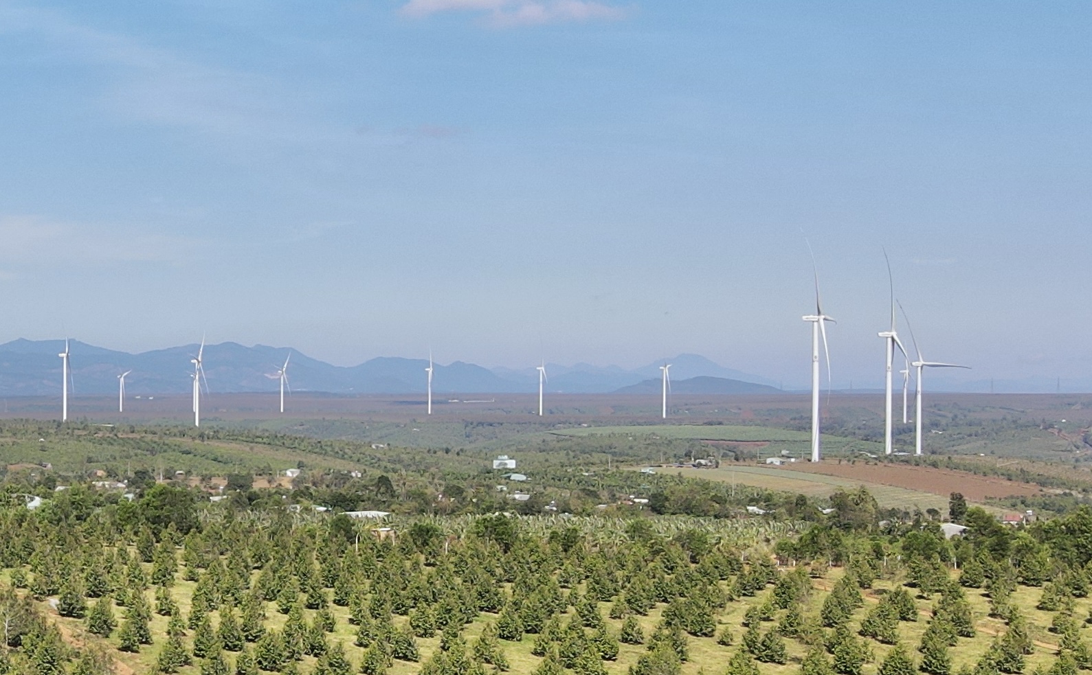 Gia Lai: Điện gió 99 MW hòa lưới, tăng nguồn điện sạch quốc gia