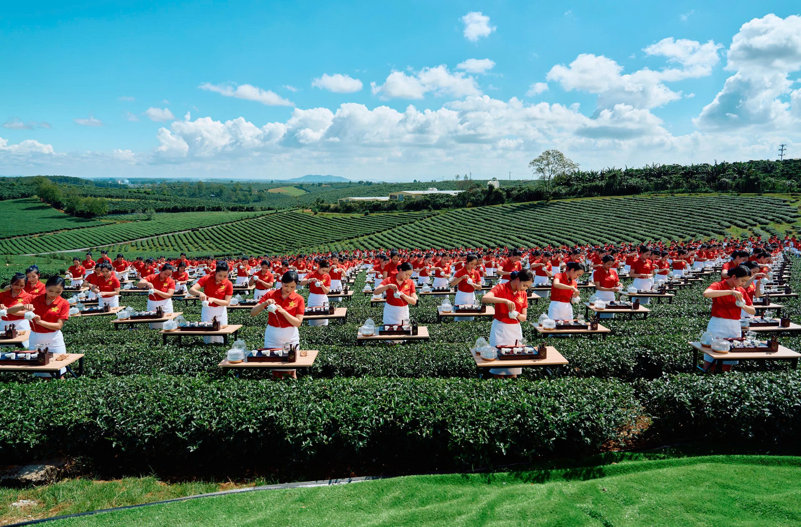 Lâm Đồng tổ chức nhiều hoạt động mừng Đảng, mừng xuân Bính Ngọ