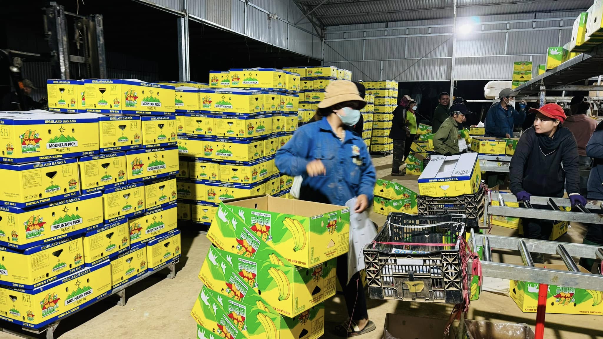 Đắk Lắk: Triển khai 5 giải pháp trụ cột để năm 2026 tăng trưởng hơn 10%