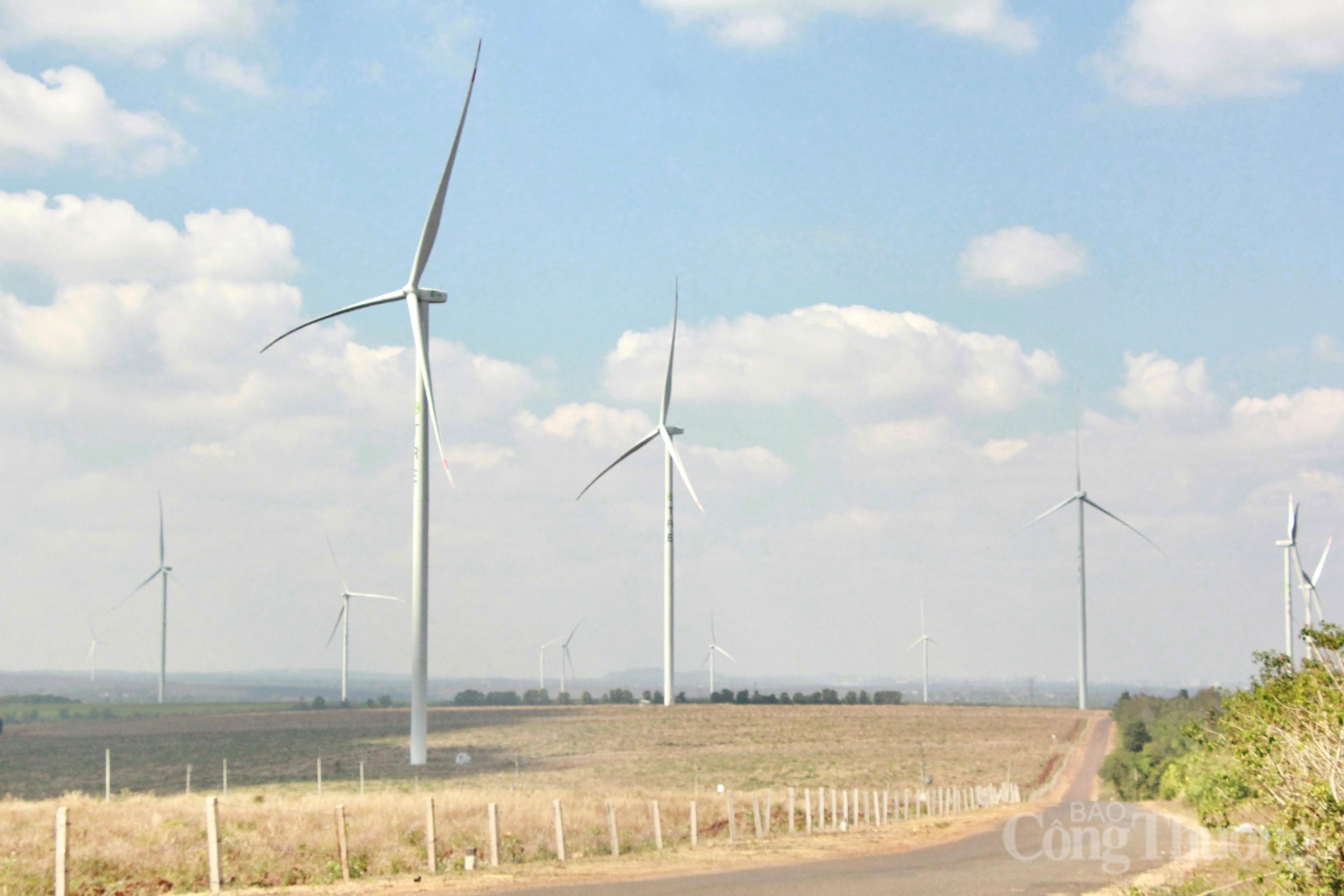 Ngắm cánh đồng điện gió đẹp mê mẩn mùa lá rụng ở Gia Lai