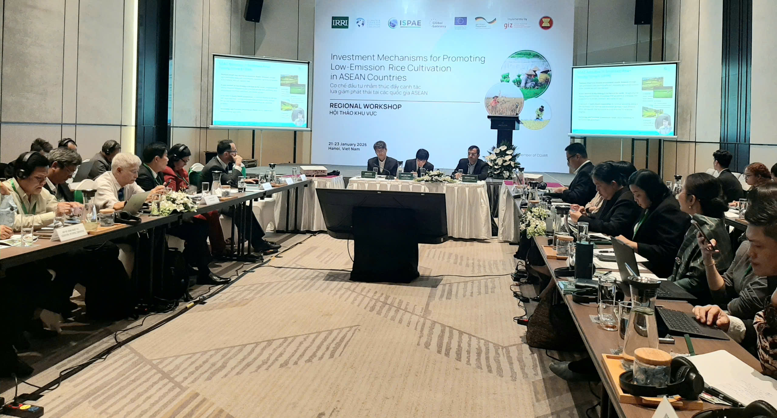 ASEAN tìm cơ chế đầu tư, thúc đẩy canh tác lúa giảm phát thải