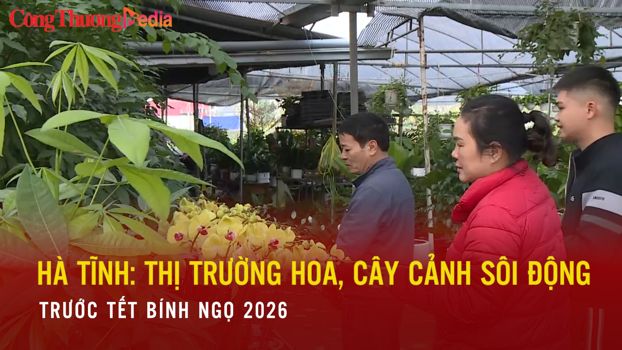 Hà Tĩnh: Thị trường hoa, cây cảnh sôi động trước tết Bính Ngọ 2026