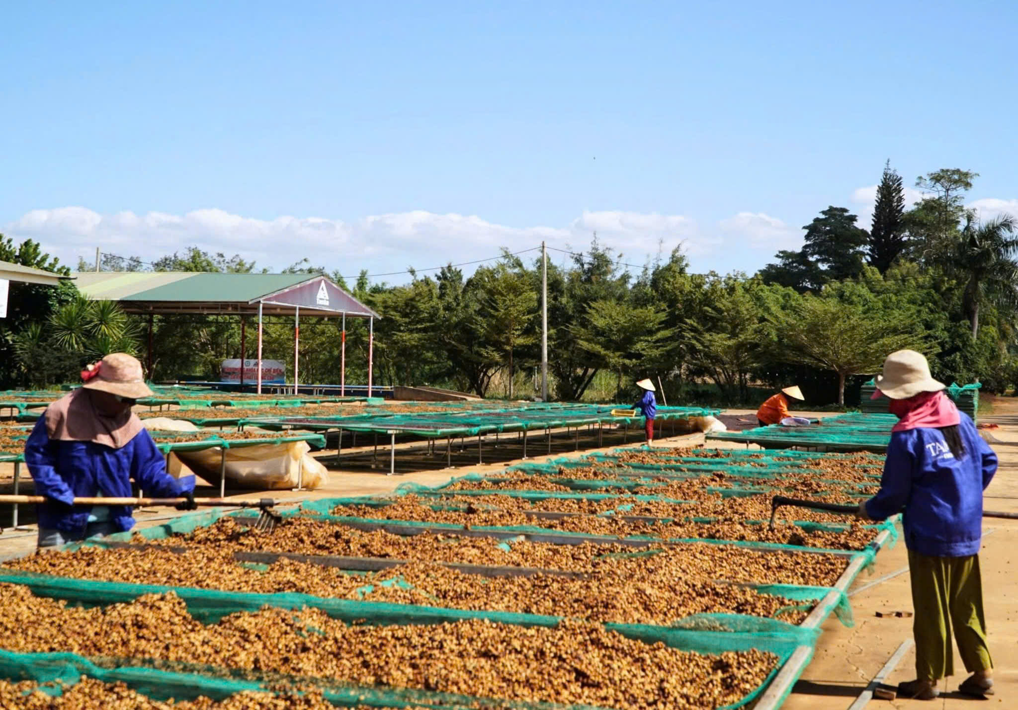 Gia Lai: Công nghiệp, thương mại khởi sắc tháng đầu năm