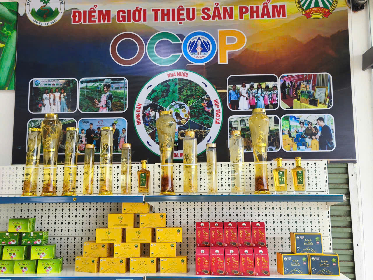 Lai Châu mang sắc xuân vùng cao đến Hội chợ Mùa Xuân 2026