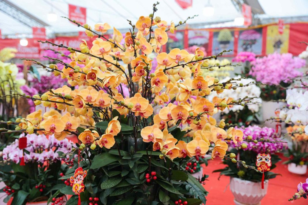 Hà Nội: Hội chợ Xuân Bính Ngọ diễn ra từ 7-14 tháng 2 