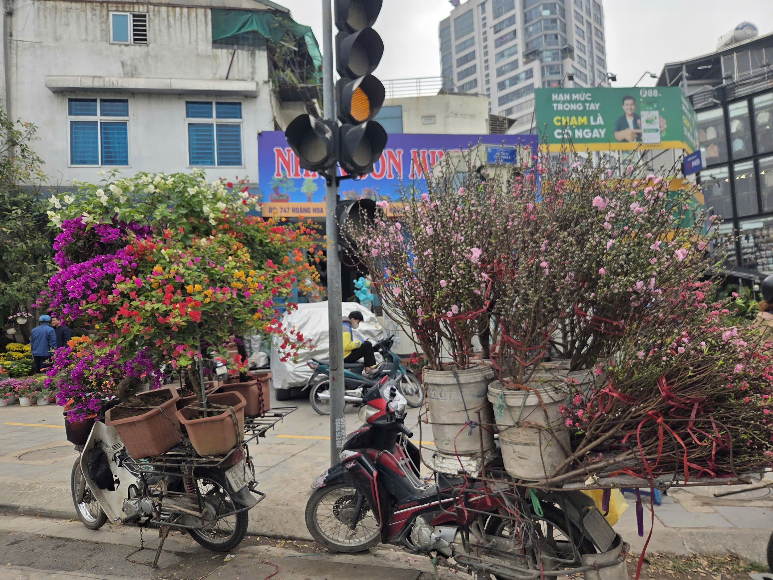 Hoa, cây cảnh bán dạo hút khách dịp cận Tết