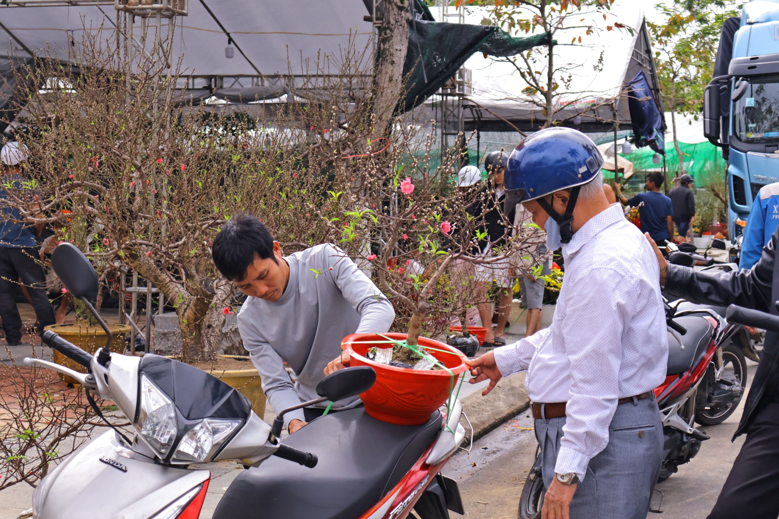 Đà Nẵng: Chợ hoa xuân rộn ràng đón khách
