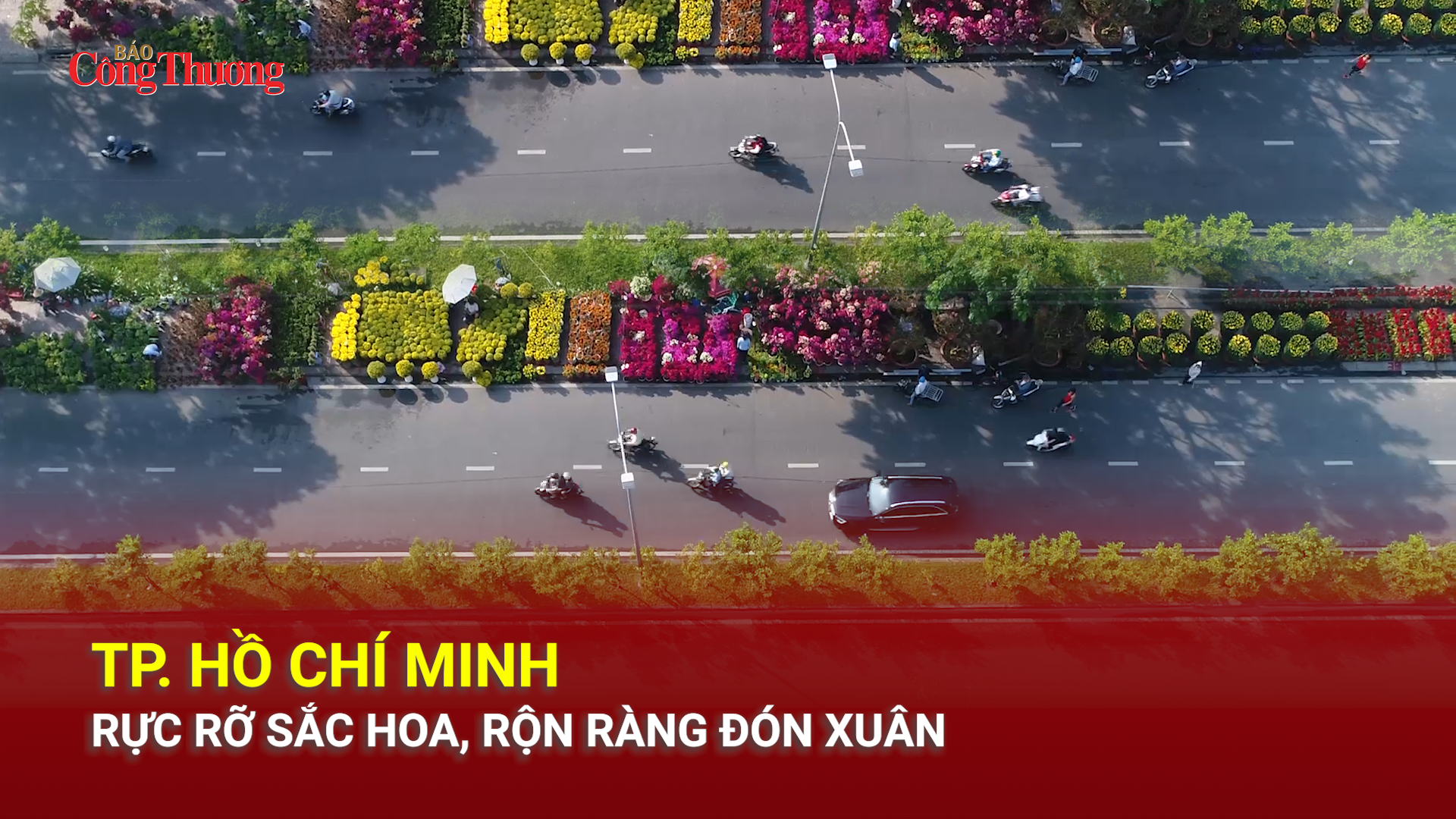 TP. Hồ Chí Minh: Rực rỡ sắc hoa, rộn ràng đón Xuân