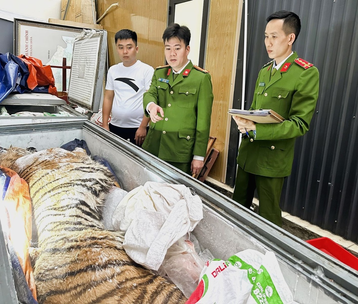 Thanh Hóa: Bắt 2 đối tượng trong đường dây mua bán, nấu cao hổ Nhóm IB