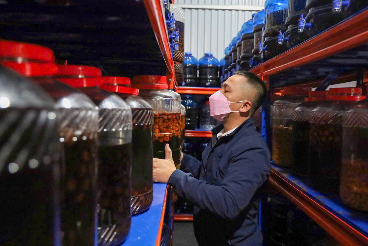 Giữ vị Tết quê: Hành trình trở về của chàng kiến trúc sư làng Bách Cốc