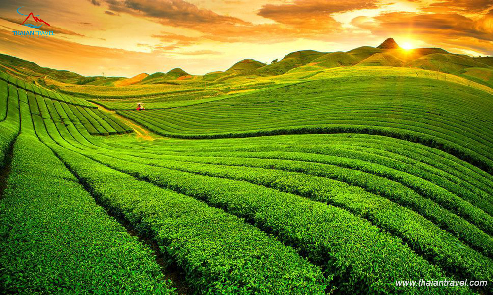 Những điểm đến hấp dẫn nhất dịp đầu xuân Bính Ngọ 2026