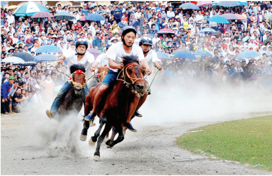 Năm Bính Ngọ mạn bàn về 'người bạn' của đồng bào vùng cao