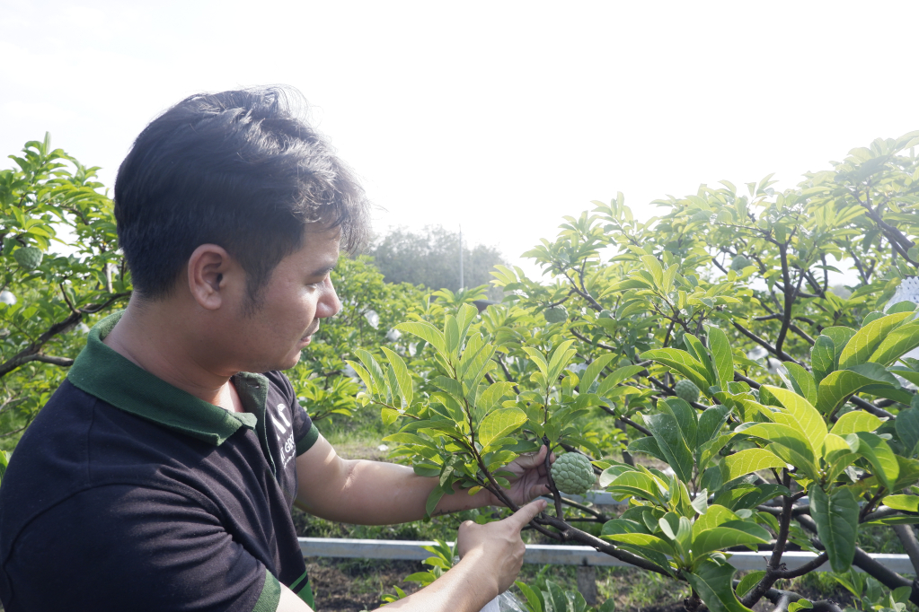 Tây Ninh: Từ sản xuất xanh đến mở rộng thị trường nông sản