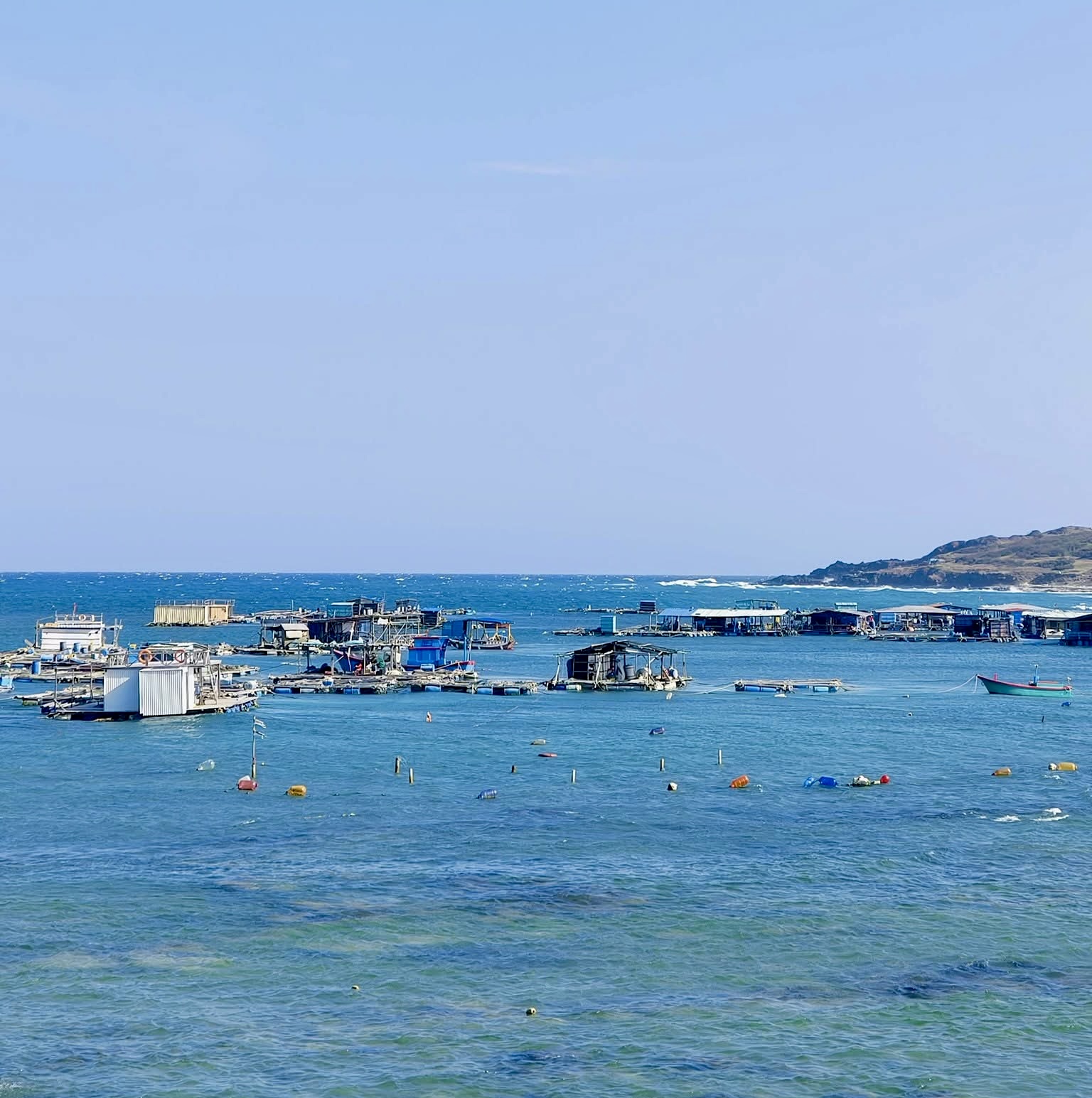 Lâm Đồng tăng cường truy xuất nguồn gốc chống IUU