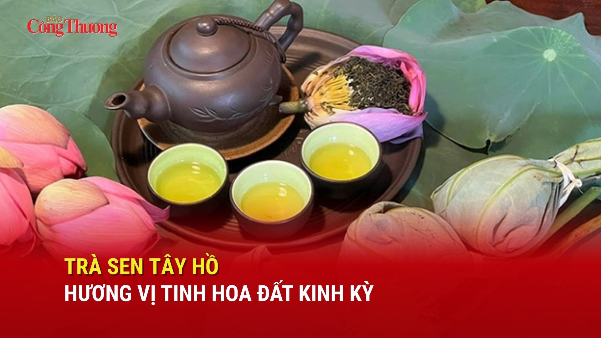 Trà sen Tây Hồ: Hương vị tinh hoa của đất Kinh kỳ